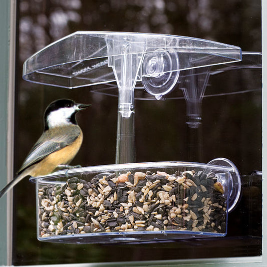 Droll Yankees® OWF Observer Window Bird Feeder, UV-Stabilized Polycarbonate