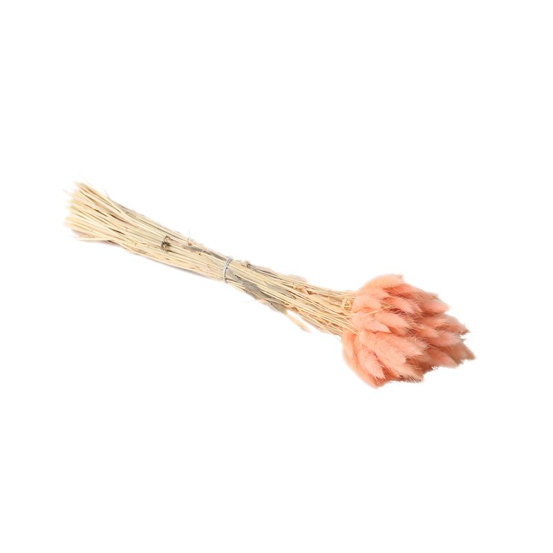 Lagurus Dried Grass Light Pink Accent Decor Dried Flowers