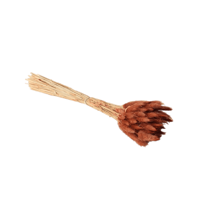 Lagurus Dried Grass Brown Accent Decor Dried Flowers