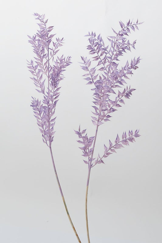 Dried Ruscus Purple Accent Decor Dried Flowers