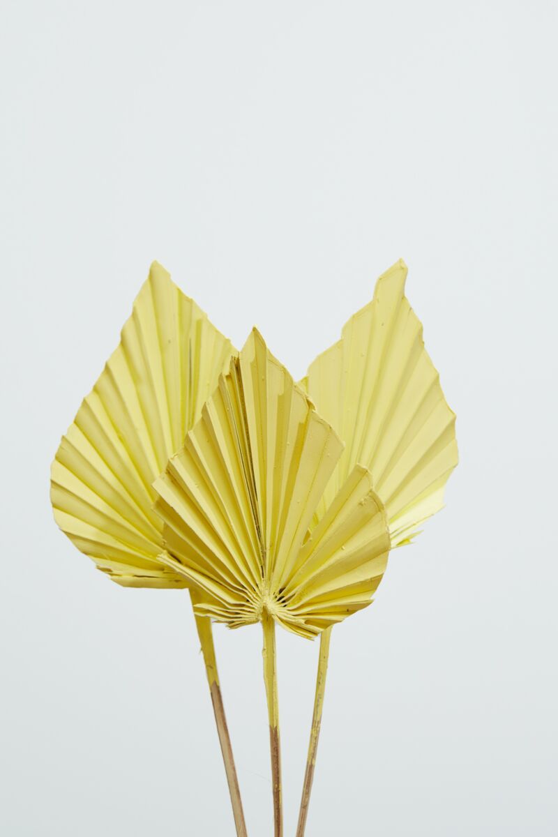 Painted Palm Spear Yellow Accent Decor Dried Flowers
