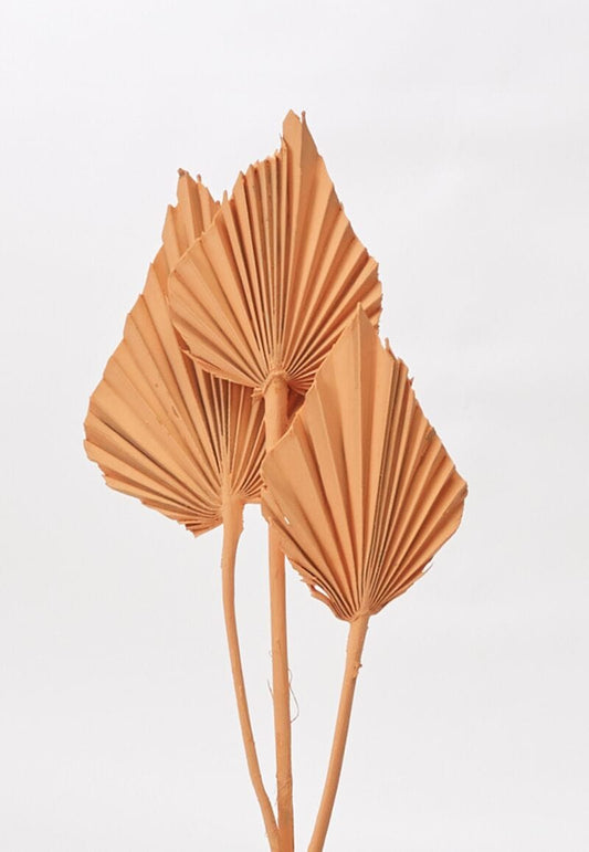 Painted Palm Spear Orange Accent Decor Dried Flowers