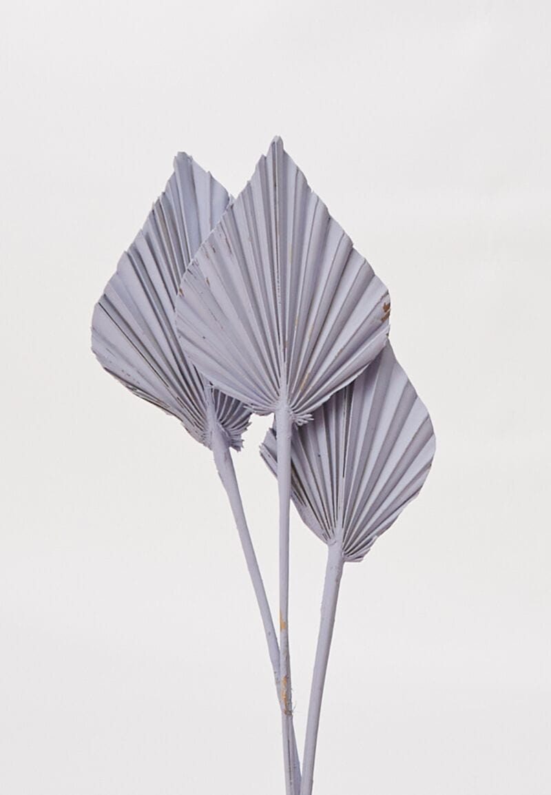 Painted Palm Spear Light Purple Accent Decor Dried Flowers
