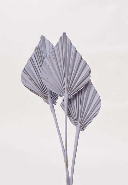 Painted Palm Spear Light Purple Accent Decor Dried Flowers