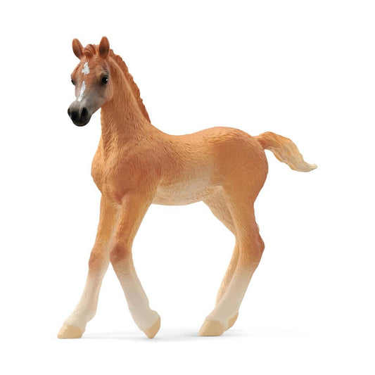 Schleich Horse Club 13984 Arab Foal