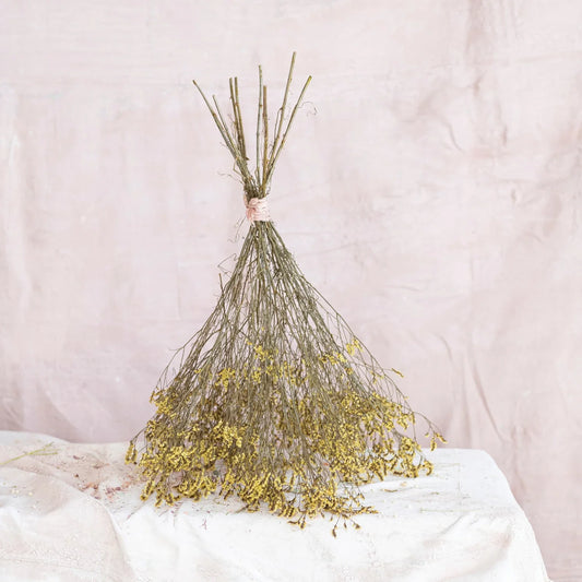 Dried Chartreuse Pearl Grass Bunch